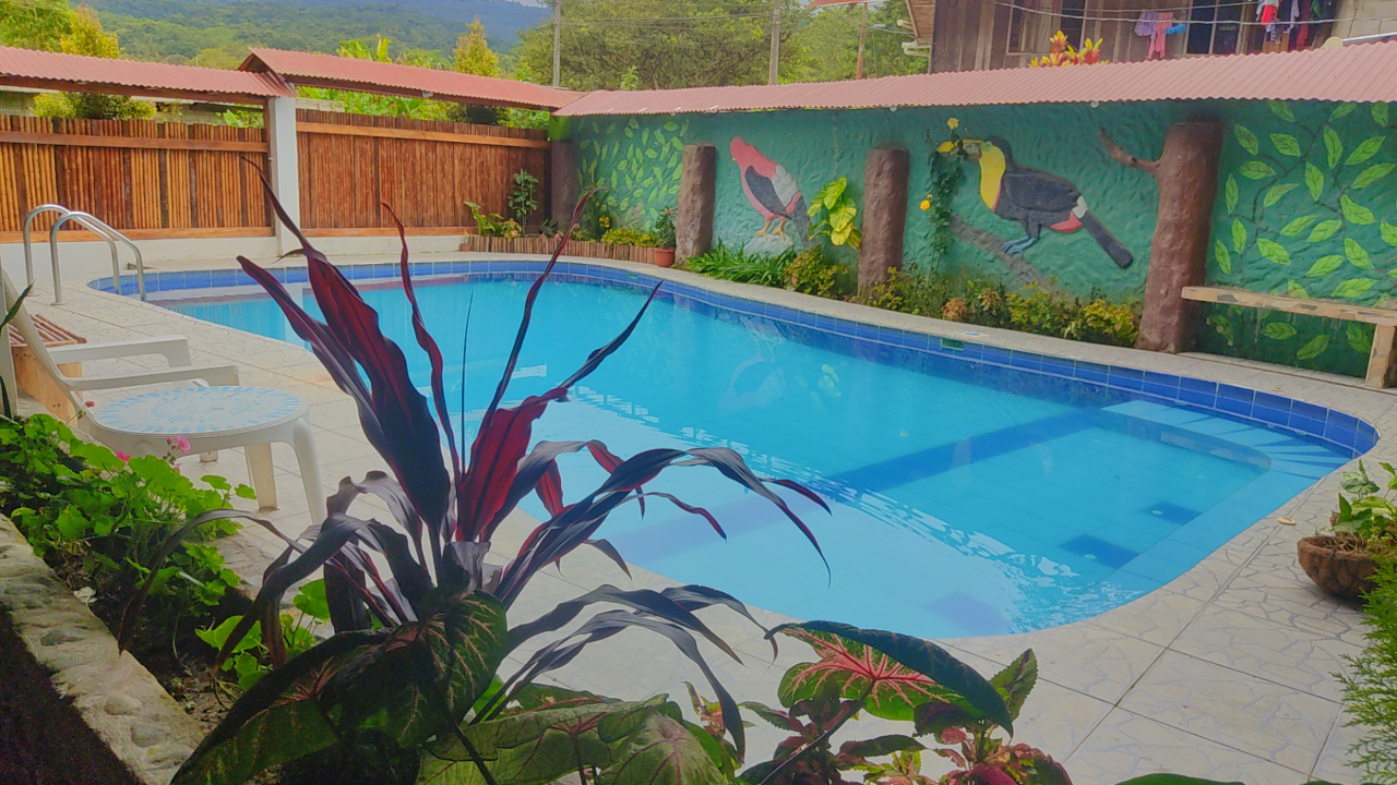 Piscina amplia del hotel con área de recreación al aire libre