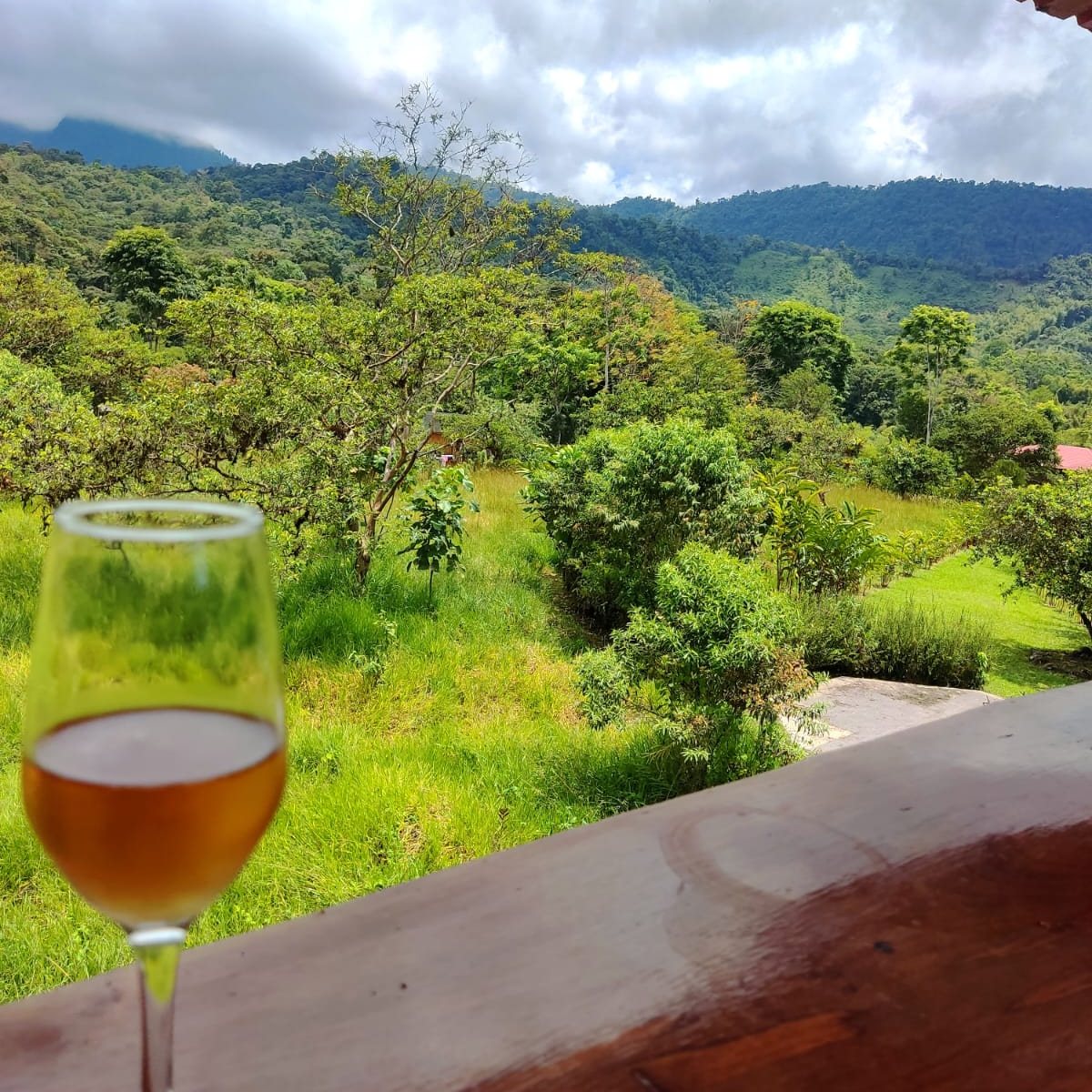 Vista espectacular del entorno natural que rodea Hotel Libertad Mindo